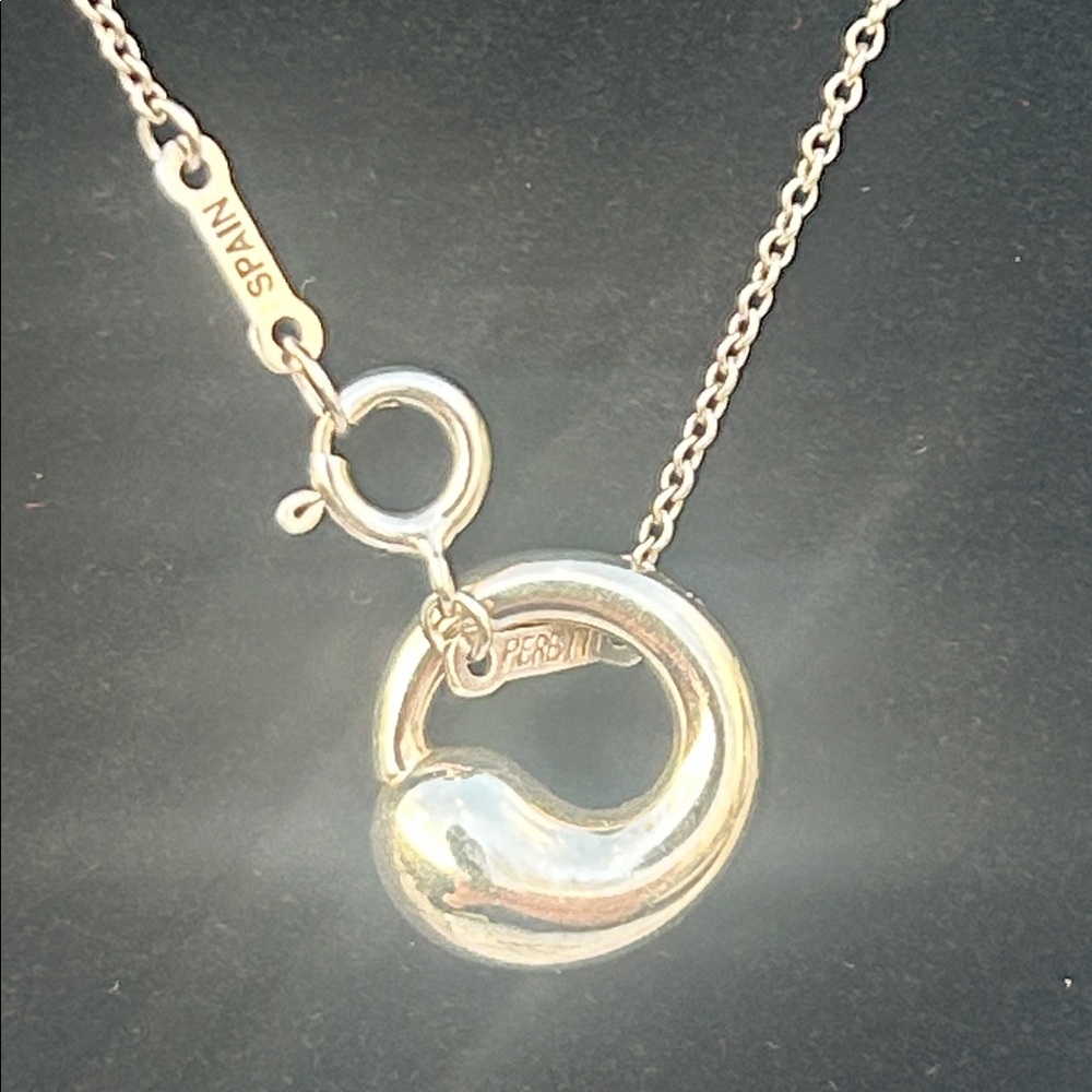 Tiffany & Co. Elsa Peretti Eternal Circle pendant necklace - Picture 2 of 5